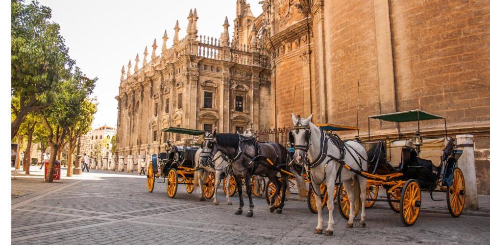 Chic Casa Cathedral At Calle Fresca 2-Bedroom Apartment In Malaga City Center ภายนอก รูปภาพ